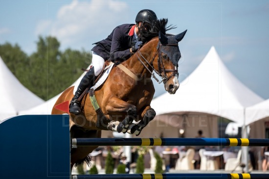 Equestrian Sports, Horse jumping, Show Jumping, Horse Riding themed photo