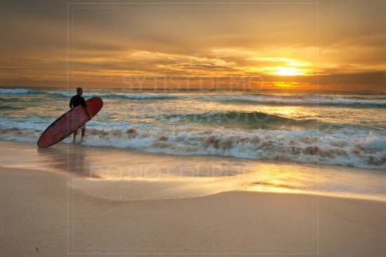 beach, ocean, surf, waves